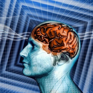 脑机接口重大突破！西北工业大学破解行业三大难题，开启智能医疗新赛道