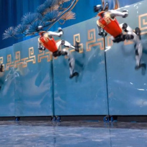 以武会春，宇树春晚机器人马年秀出“赛博真功夫”