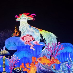 欢乐光域·厦门园博苑灯会打造水陆联动的一站式节庆空间