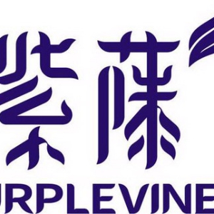 紫藤知识产权发布《全球固态电池专利全景分析白皮书》----全球逾万件有效及审中专利揭示中国出海企业面临多重壁垒风险