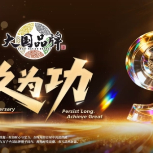 大国品牌，9久为功 |《大国品牌》九周年，与品牌共赴山海荣光